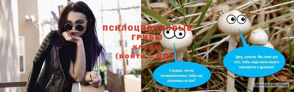 mdpv Няндома