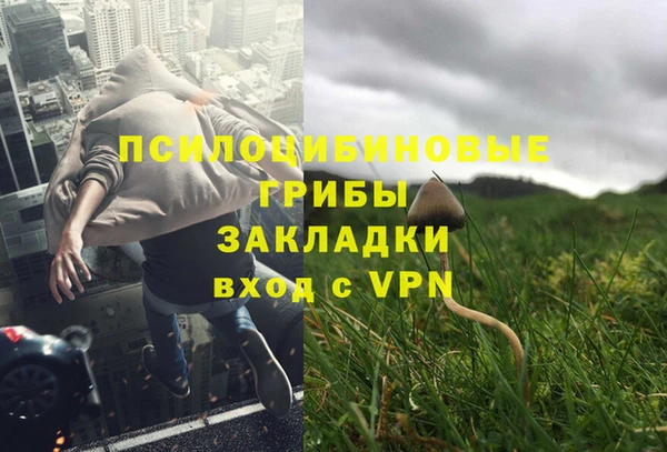 mdpv Няндома