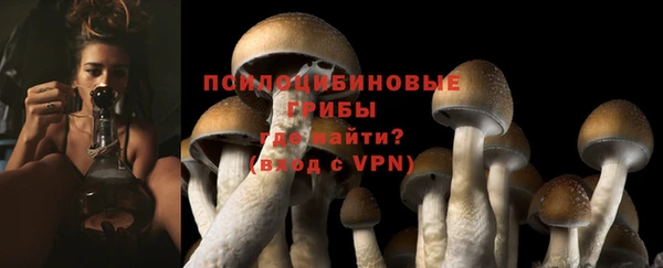 mdpv Няндома