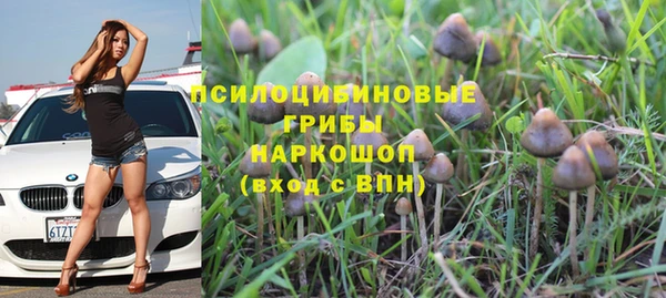дурь Нягань