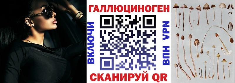Галлюциногенные грибы мухоморы Апшеронск