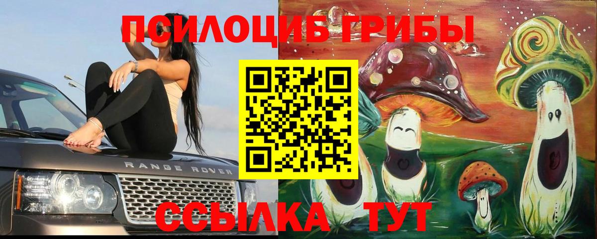 Галлюциногенные грибы MAGIC MUSHROOMS Апшеронск