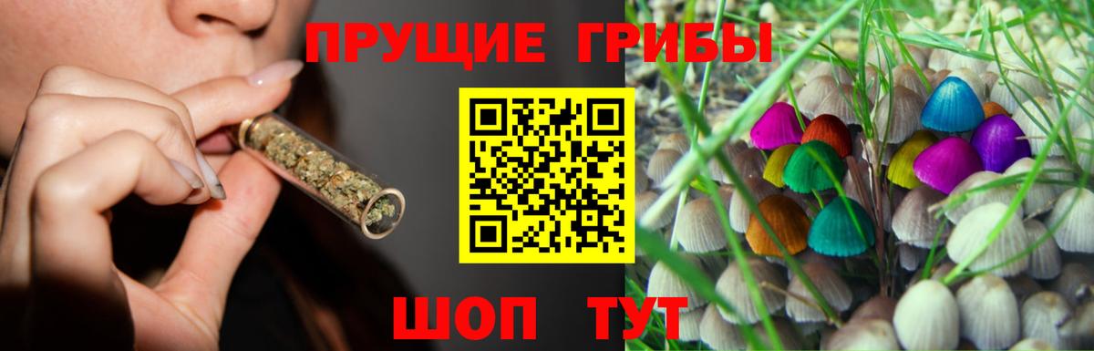 Псилоцибиновые грибы прущие грибы Апшеронск