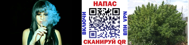 Каннабис Amnesia  Апшеронск 